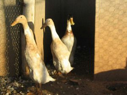 Dusk to Dawn Bed and Breakfast