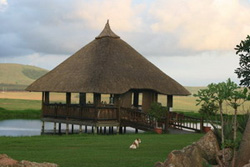 Dusk to Dawn Bed and Breakfast