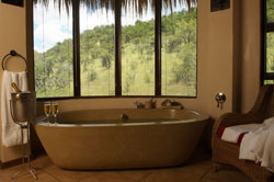 Ivory Tree Game Lodge