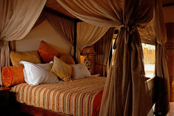 Ivory Tree Game Lodge