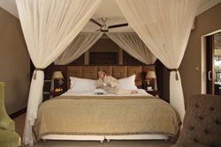 Sheperds Tree Game Lodge