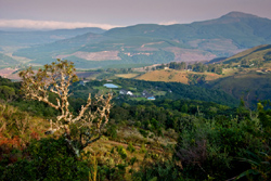 Mount Sheba Country Lodge