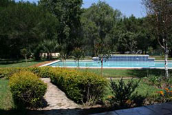 Whistling Trees Country Lodge & Spa