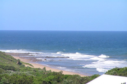 Princes Grant House 287