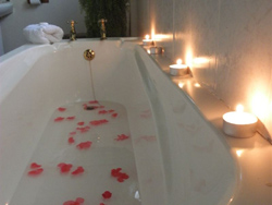 Serendipity Guest House