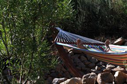 Olive Garden Country Lodge