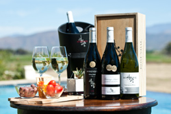 Rosendal Winery and Wellness Retreat