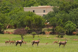 Kedar Country Hotel