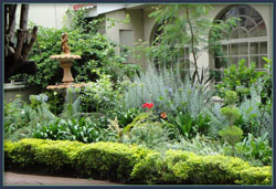 Wild Olive Guest House