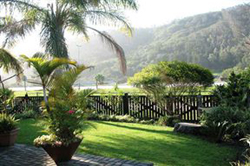 Forest View Guest House