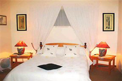 Forest View Guest House