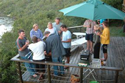 Sedgies On The Water