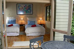 Sedgies On The Water