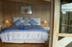 Sedgies On The Water