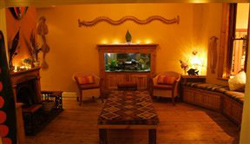 Boulders Beach Lodge