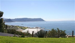 Whale View House