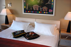South africa hotels