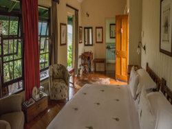 Three Trees at Spioenkop