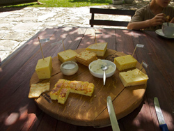 Three Trees at Spioenkop