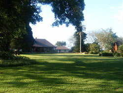 Mayfield Farm