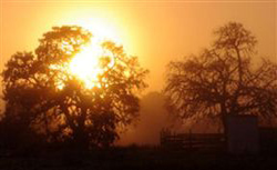 A Farm Story Country House