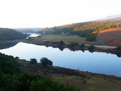 Lorelei Accommodation