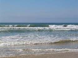 Starfish Beach House