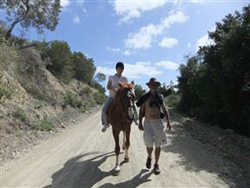 Wild Olive Guest Farm