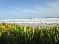 The Beach House @ Dana Bay