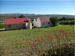 Grootnek Guest Farm