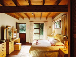 Nature's Valley Guest House