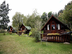 Tannenhof Guest Farm