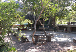 Izintaba Game Farm Vaalwater