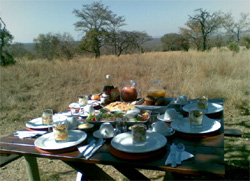 Izintaba Game Farm Vaalwater