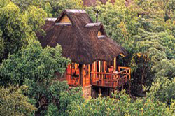 Makweti Safari Lodge