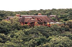 Makweti Safari Lodge