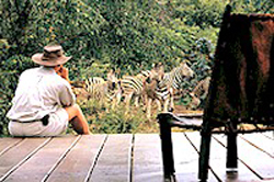 Makweti Safari Lodge