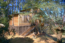 Treks Trips & Trails