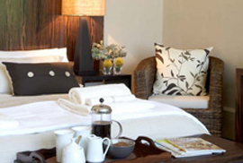 South africa hotels