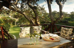 Cecelia's Holiday Manor