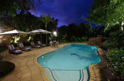 Cecelia's Holiday Manor