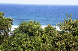 Ocean Reef Apartment A6