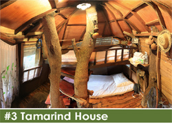 Rabeang Pasak Tree House Resort