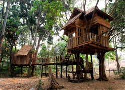 Rabeang Pasak Tree House Resort