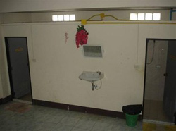 Boss and Benz House Krabi