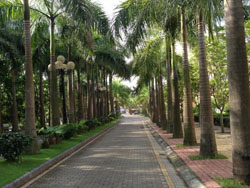 Camela Hotel & Resort