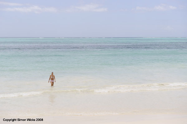 bluebay_03