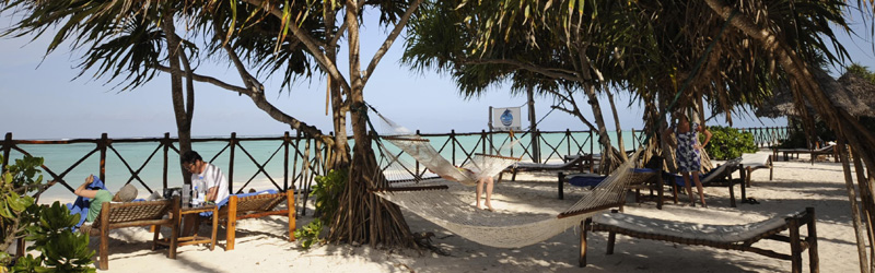 Ocean Paradise Zanzibar Island Holiday