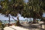 Ocean Paradise Zanzibar Island Beach Holiday